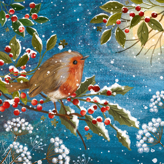 'Sweet Robin' Christmas card (Pack of 10)