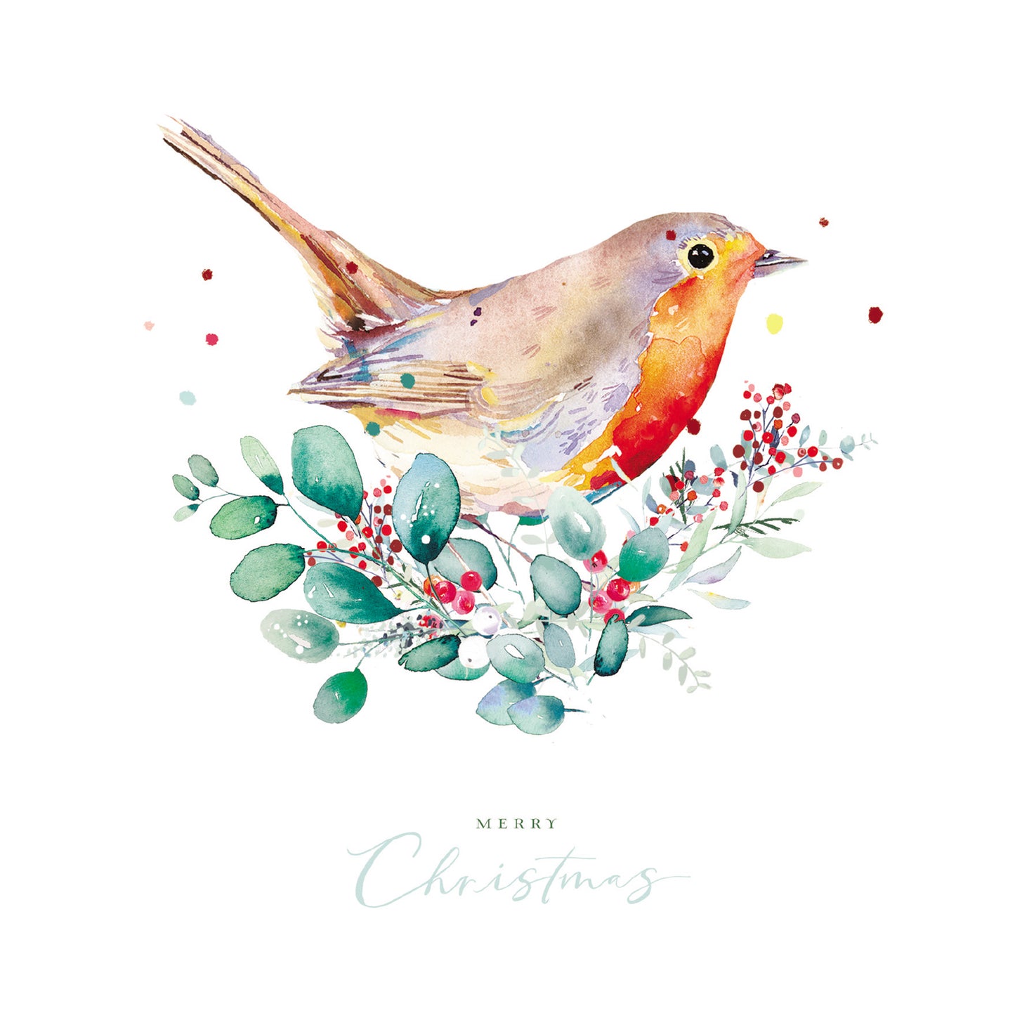 'Robin in foliage' Christmas card (Pack of 10)